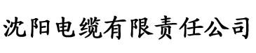 1024你懂的金沙人妻片电缆厂logo